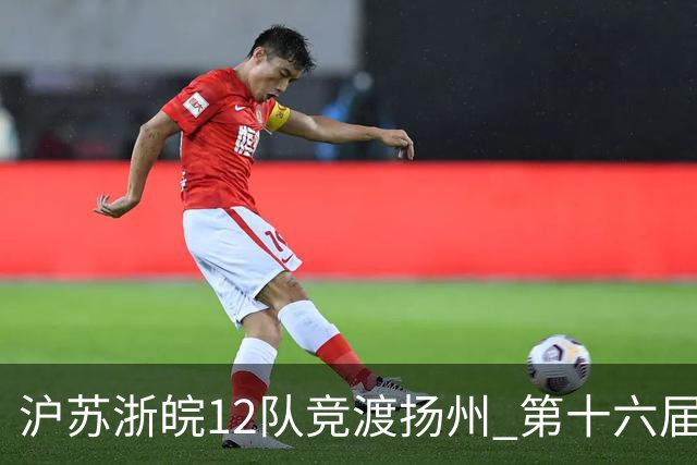 沪苏浙皖12队竞渡扬州 第十六届长三角龙舟赛擂鼓开桨